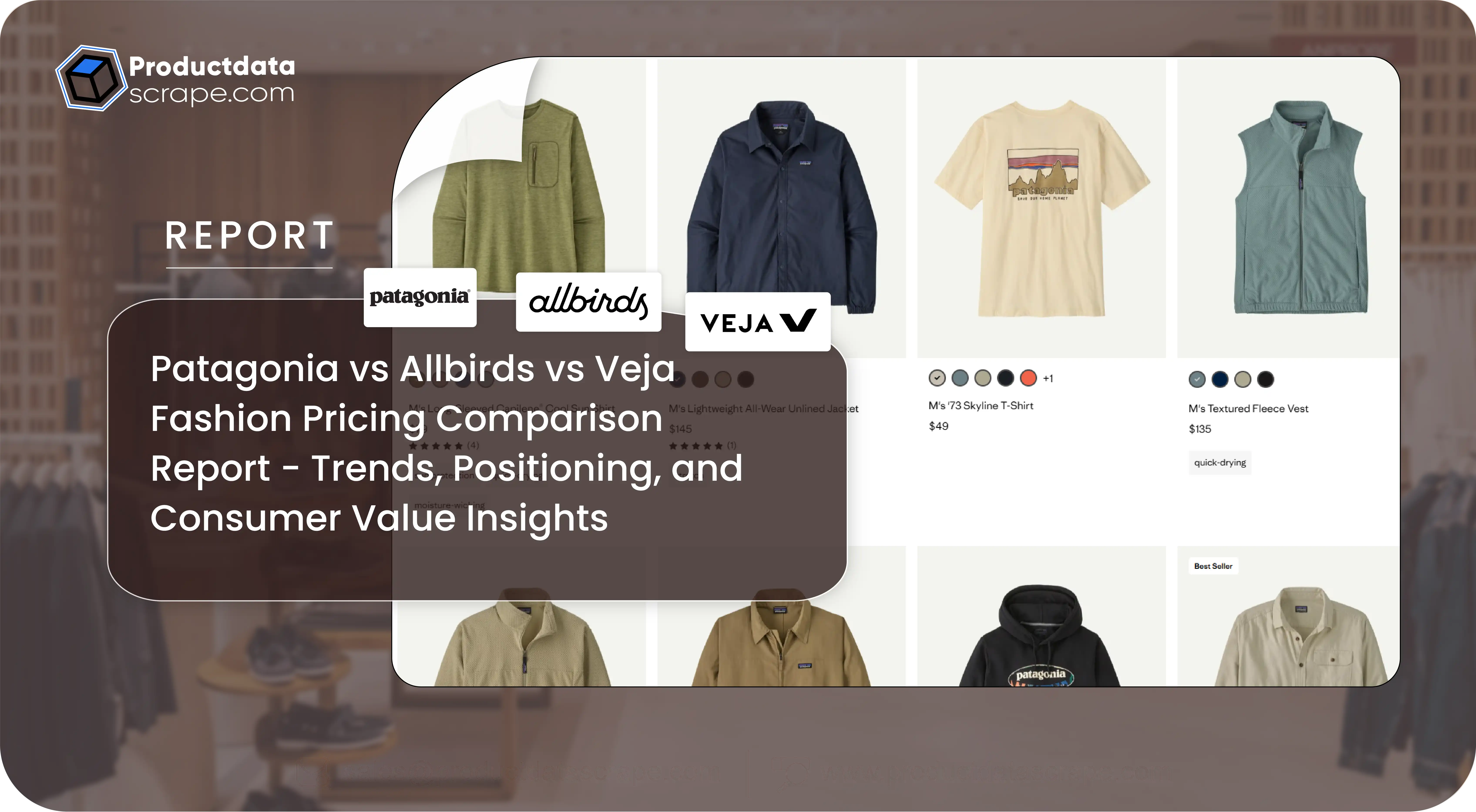 Patagonia vs Allbirds vs Veja Fashion Pricing Comparison